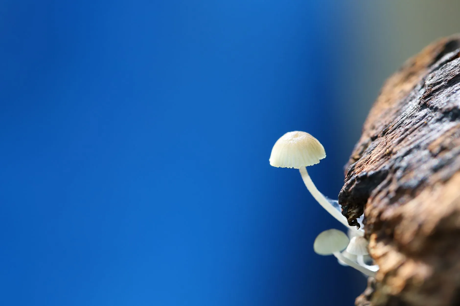 交换机与路由器在组网中的角色差异及选型要点